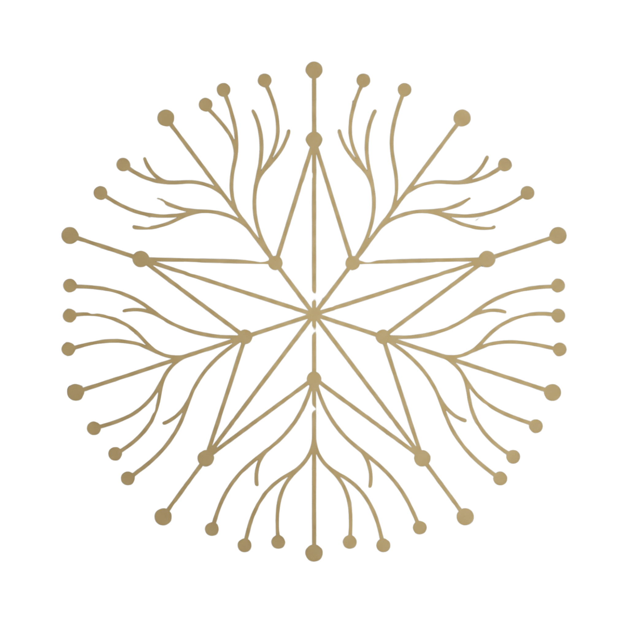 Radiant star icon representing commanding personal presence